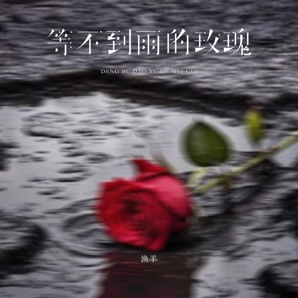 等不到雨的玫瑰 (伴奏)