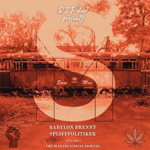 DJ Polar的專輯Babylon Brennt/ Spliffpolitiker (Psychoakustisch)