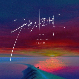 Listen to 天也不懂情 (dj杨小林版伴奏) song with lyrics from 王小帅