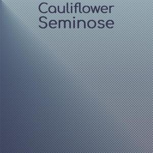 Album Cauliflower Seminose oleh Various