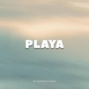 NoCopyrightMusic的專輯NoCopyrightMusic "PLAYA" (feat. DJ STEVE)
