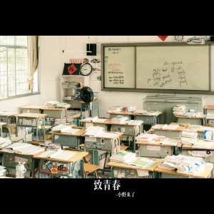 Album 致青春 from 小野来了