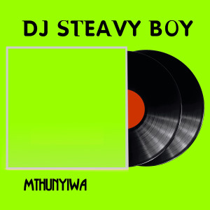 收听DJ Steavy Boy的Plug Card歌词歌曲