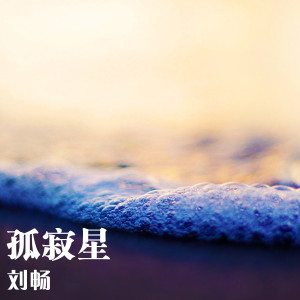 Listen to 静止 song with lyrics from 刘畅-霸道厂长i