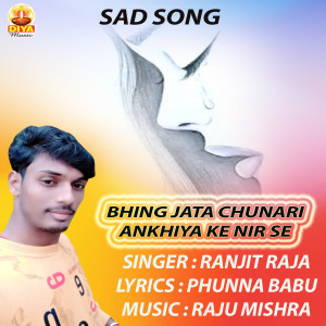 ดาวน์โหลดและฟังเพลง BHING JATA CHUNARI ANKHIYA KE NIR SE พร้อมเนื้อเพลงจาก Ranjit Raja