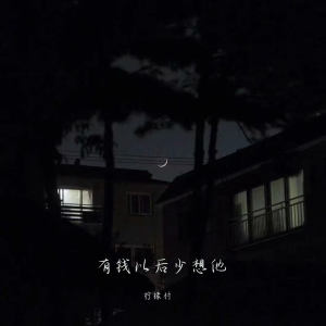 柠檬村的专辑有钱以后少想他