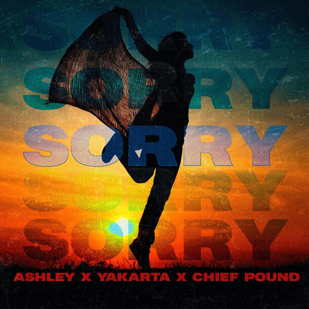 Sorry (Explicit)