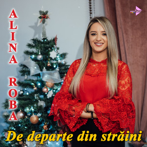 Album De departe din străini from Alina Roba