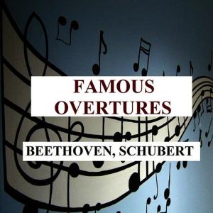 อัลบัม Famous Overtures - Beethoven, Schubert ศิลปิน Hamburg Rundfunk-Sinfonieorchester