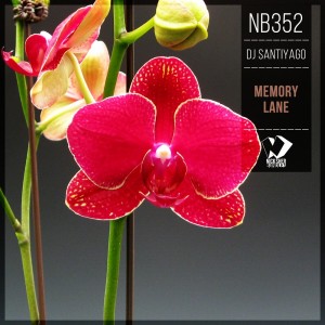 Dj SantiyaGO的專輯Memory Lane