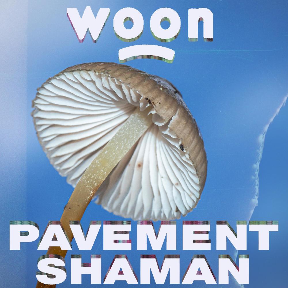 PAVEMENT SHAMAN (Radio Edit)