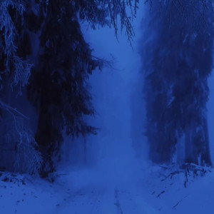 收聽Cxrter的Model (Explicit)歌詞歌曲