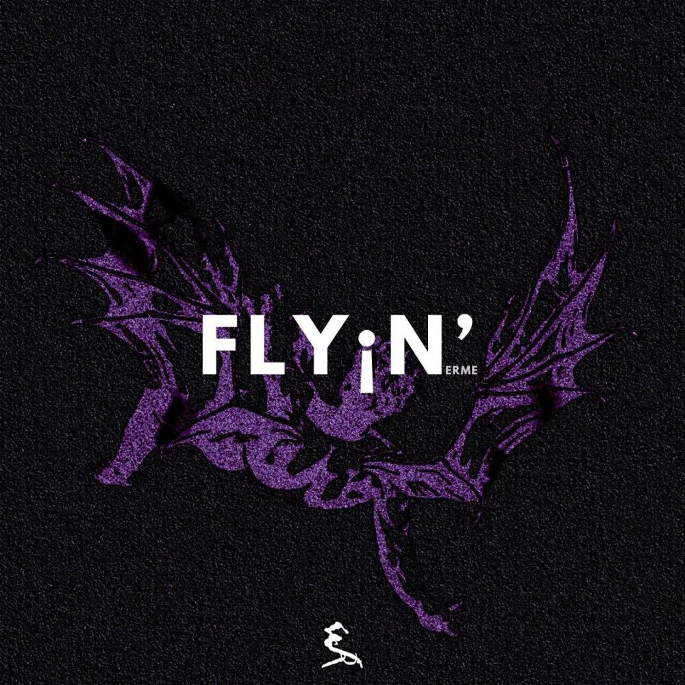 FLY¡N'