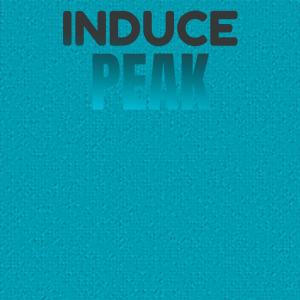 Album Induce Peak oleh Various