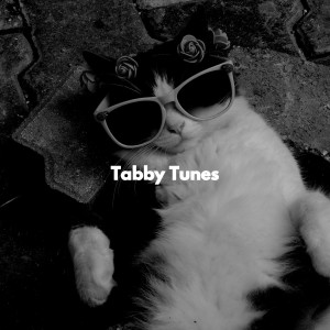 Cat Music Dreams的專輯Tabby Tunes