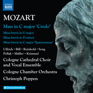 收聽Cologne Cathedral Choir的Missa brevis in D Minor, K. 65: Sanctus歌詞歌曲