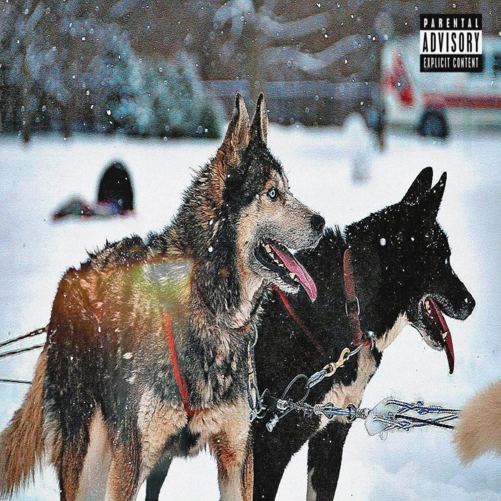 What Am I Here For? (Explicit)