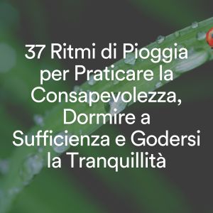 Album 37 Ritmi di Pioggia per Praticare la Consapevolezza, Dormire a Sufficienza e Godersi la Tranquillità from Suoni Naturali