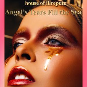 ดาวน์โหลดและฟังเพลง Angels Tears Fill the Sea พร้อมเนื้อเพลงจาก House Of Ill Repute