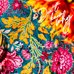 ดาวน์โหลดและฟังเพลง Don't Know Why พร้อมเนื้อเพลงจาก Katherine Kostoff