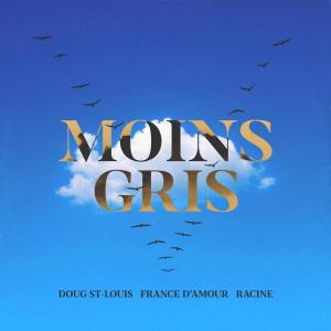 Doug St-Louis的專輯Moins gris