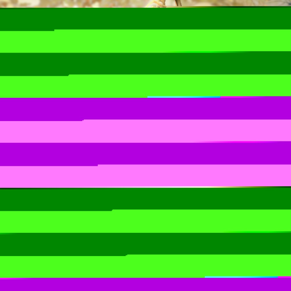 橙渊