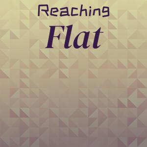 Various Artists的專輯Reaching Flat