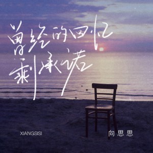 Album 曾经的回忆剩承诺 from 向思思