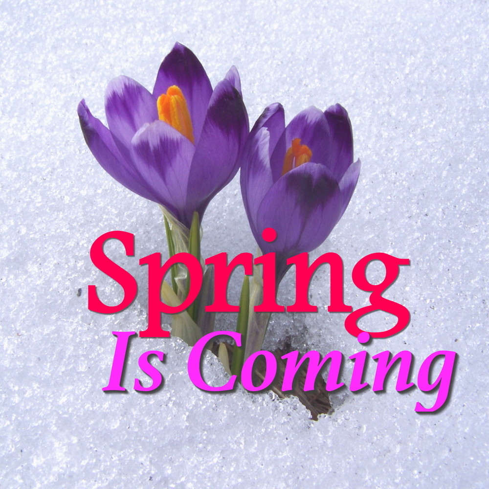 It Might As Well Be Spring