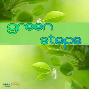 Iffar的专辑Green Steps (Music for Movie)