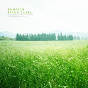 Listen to Canvas With The Name Of The Sky song with lyrics from Kid Poet
