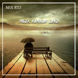 Dengarkan INGEK KANALAH JANJI lagu dari DJ RTJ dengan lirik