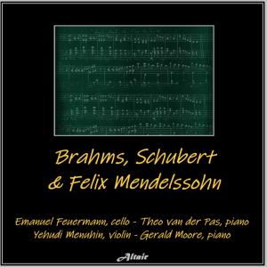 Theo van der Pas的專輯Brahms, Schubert & Felix Mendelssohn
