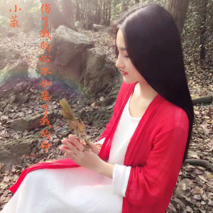 Listen to 傷了我的心不如要了我的命 (DJ戰神版) (完整版) song with lyrics from 小 薇