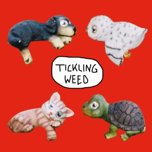 收聽Anna Erhard的Tickling Weed歌詞歌曲