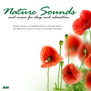 Listen to Nature Sound Music song with lyrics from Nature Sounds