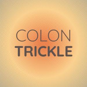 收聽Avan Quiin的Colon Trickle歌詞歌曲