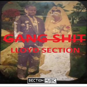 LLOYD SECTION的專輯GANG ****