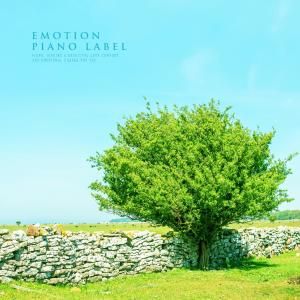 Album Meditation Piano To Wake Up Body And Mind Calmly from Various Artists