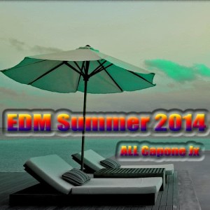 อัลบัม EDM Summer 2014 ศิลปิน ALL Capone Jx