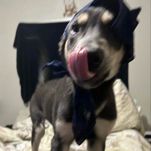 ดาวน์โหลดและฟังเพลง Don't Play It (Explicit) พร้อมเนื้อเพลงจาก HoezbTrippin