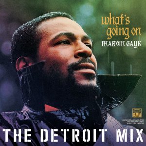 ดาวน์โหลดและฟังเพลง Mercy Mercy Me(The Ecology) (Detroit Mix) พร้อมเนื้อเพลงจาก Marvin Gaye