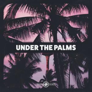 Album Summer Sounds Anthem 8.0 from Summer Sounds