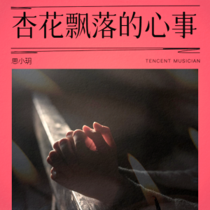 Listen to 杏花飘落的心事 (伴奏) song with lyrics from DJ大金