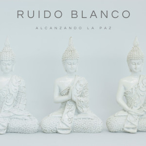 อัลบัม Ruido Blanco: Alcanzando La Paz ศิลปิน Musica Para Meditar