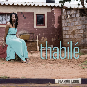 Album Dlamini Echo from 