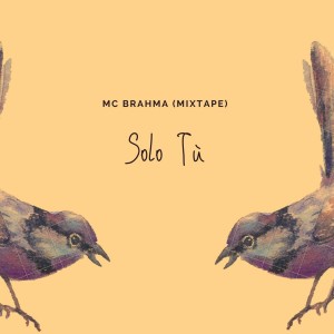 Listen to La Noche Perfecta song with lyrics from Mc Brahma
