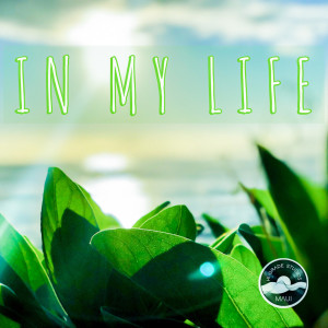 ดาวน์โหลดและฟังเพลง In My Life พร้อมเนื้อเพลงจาก Skeptic
