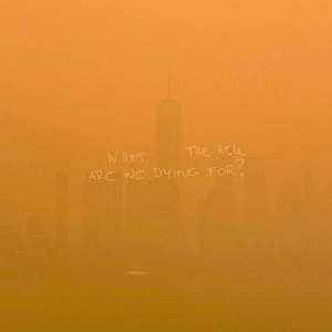 ดาวน์โหลดและฟังเพลง WHAT THE HELL ARE WE DYING FOR ? พร้อมเนื้อเพลงจาก Shawn Mendes