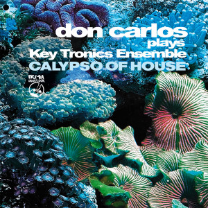 Don Carlos的專輯Calypso Of House (Don Carlos Recostruction)